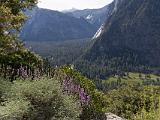 Yosemite 003